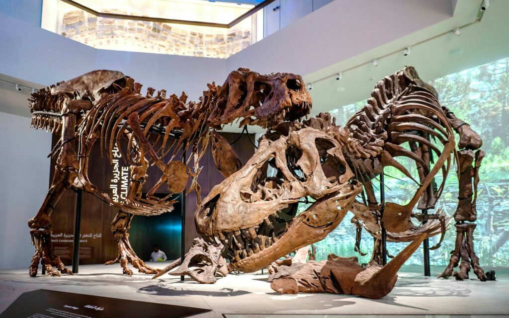 natural history museum abu dhabi coupon code